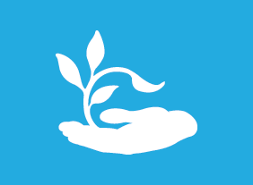 Encouraging Sustainability and Social Responsibility in Business