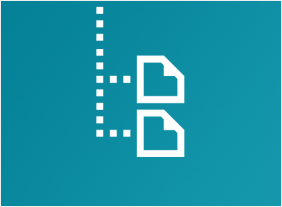 Advanced Project Management